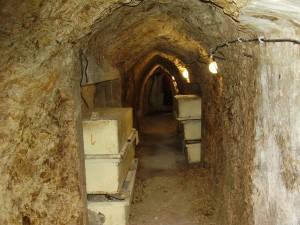 When Jewish militants dug underground tunnels