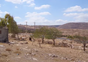 Palestinian village target of settler attacks and land theft