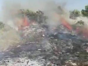 Israeli settlers set fire to large tracts of land south of Nablus